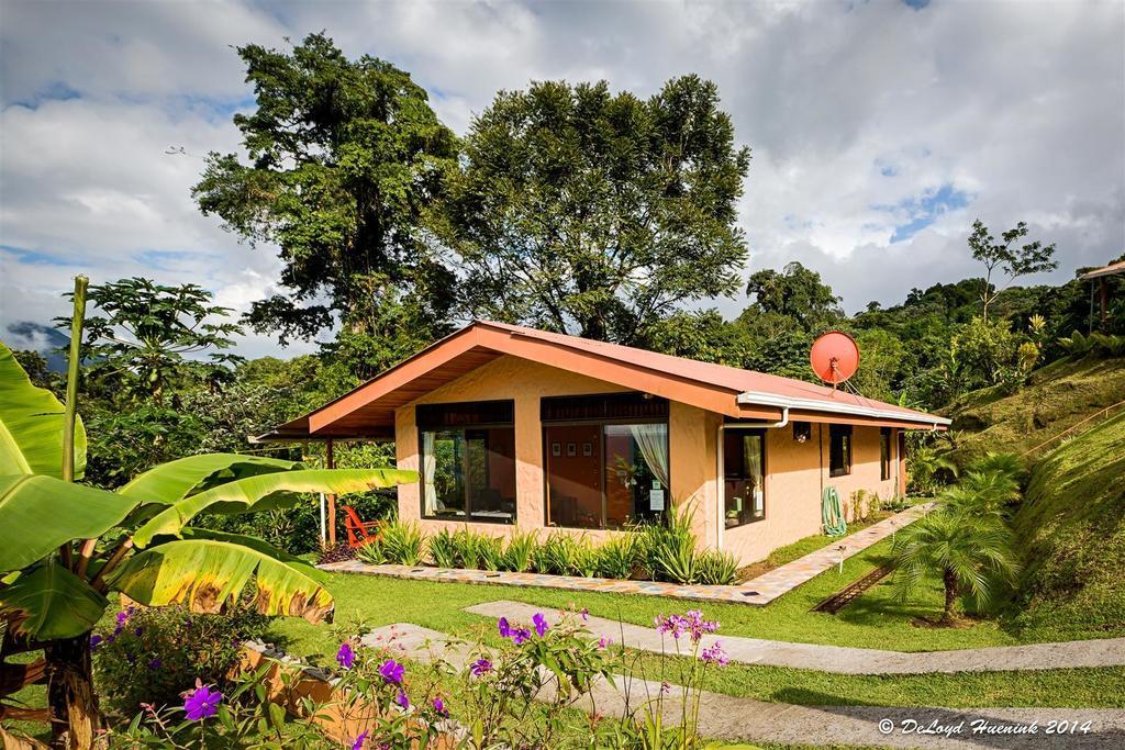 Encantada Guest House El Castillo Номер фото